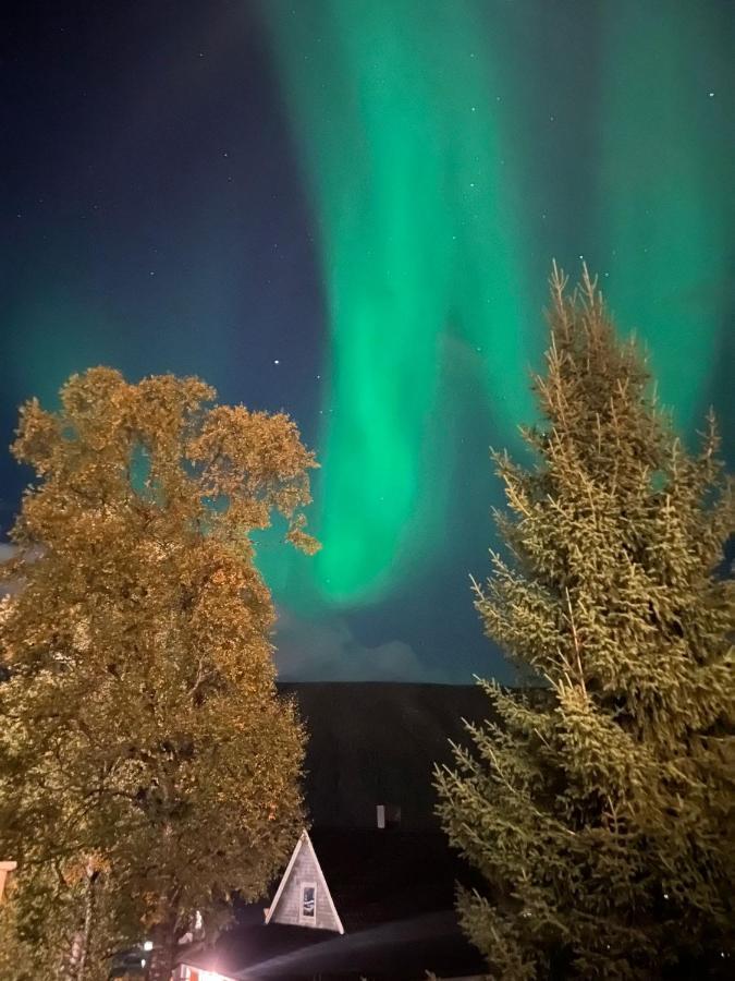 Tromso Arctic Villa With Free Parking Bagian luar foto