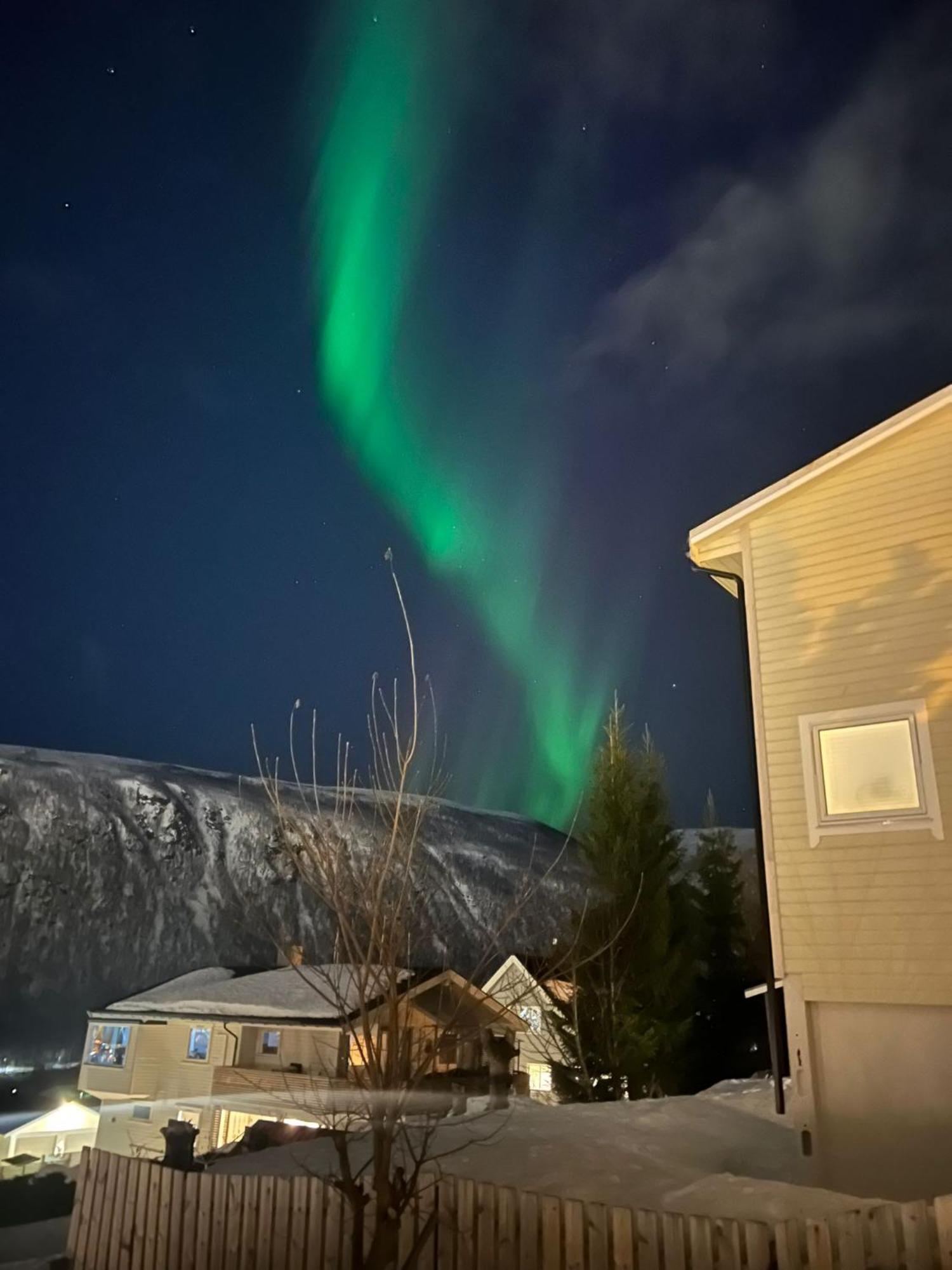 Tromso Arctic Villa With Free Parking Bagian luar foto