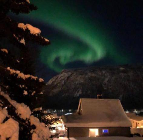 Tromso Arctic Villa With Free Parking Bagian luar foto