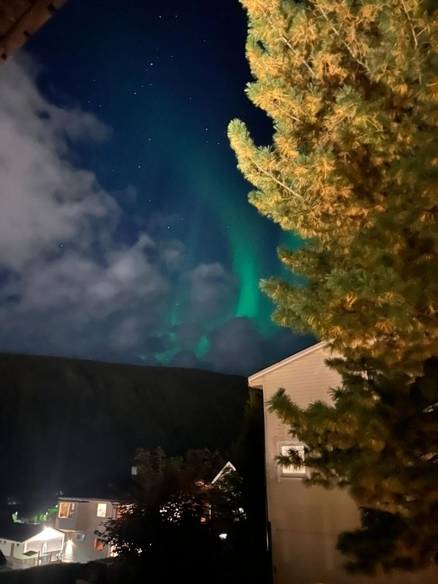 Tromso Arctic Villa With Free Parking Bagian luar foto